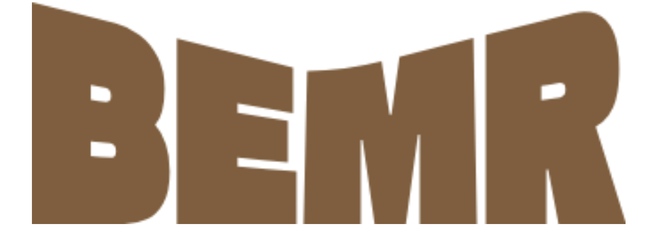 BEMR